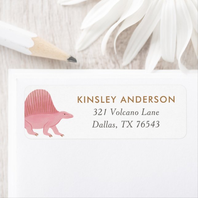 Returadress för Födelsedagsfest av Flickdosaur Etikett (Insitu)