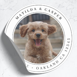 Returadress Hund, fotopassiskt, rund etikett