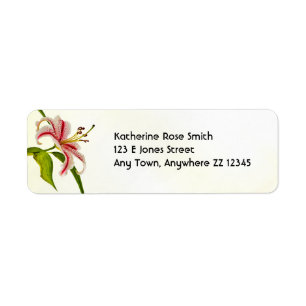 Returadress: Star Lily Floral Fotografi Returadress Etikett
