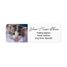 Returadressen Adsible Kitten Returadress Etikett