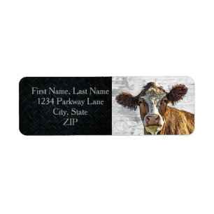 Returadressen Dairy Cow Red Holstein Cute Farm Returadress Etikett