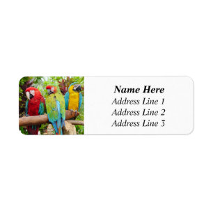 Returadressen Flock av färgad Macaw Parrots Returadress Etikett