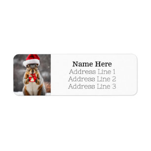 Returadressen Santa Fox Squirrel Santa Hat Returadress Etikett