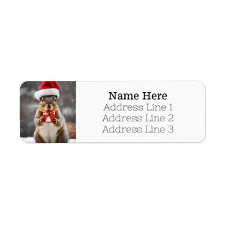 Returadressen Santa Fox Squirrel Santa Hat Returadress Etikett
