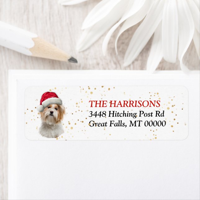 Returadressen Santa Hat Shih Tzu Hund Returadress Etikett (Insitu)