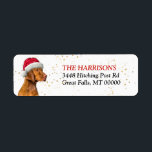 Returadressen Santa Hat Vizsla Hund Returadress Etikett<br><div class="desc">Den lämnat sidan av dessa roligt Helgdag har en bild av en vacker Vizsla-Hund med röd och vit Jultomten-hatt. Din anpassningsbar är i rött och svart på högerna. En subtil guld-konfetti-bakgrund ge lite grann gnistra.</div>