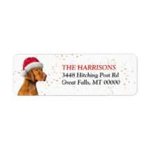 Returadressen Santa Hat Vizsla Hund