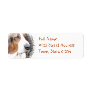 Returadressetikett för Basset Hound Returadress Etikett