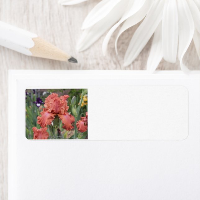 Returadressetikett Returadress Etikett (Insitu)