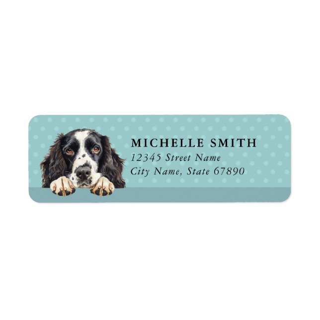 Returadressetiketter för engelsk springer spaniel returadress etikett (Framsidan)