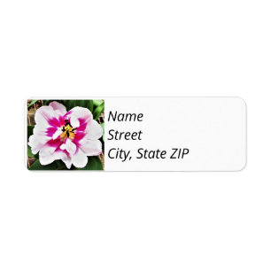 Returadressetiketter Rosa Tulpan. Returadress Etikett