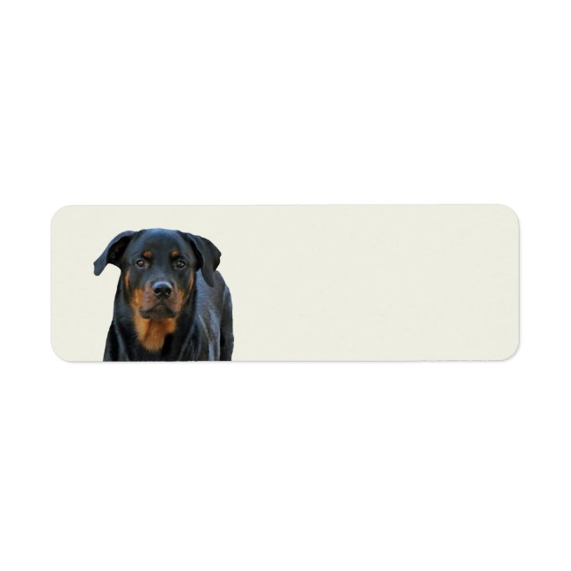 Returetiketter av Bevackra Rottweiler Returadress Etikett (Framsidan)