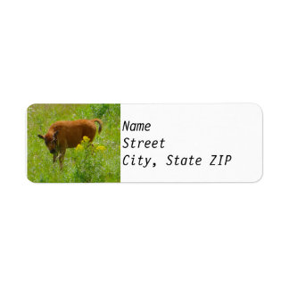 Returetiketter - Bison Calf Yellowstone Returadress Etikett