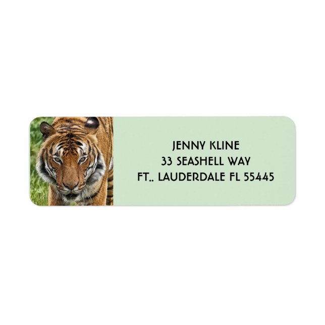Returetiketter FÖR BENGAL TIGER Returadress Etikett (Framsidan)