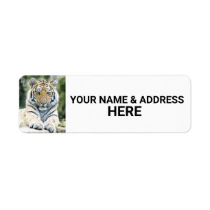 RETURETIKETTER FÖR TIGER-FOTOGRAFI RETURADRESS ETIKETT