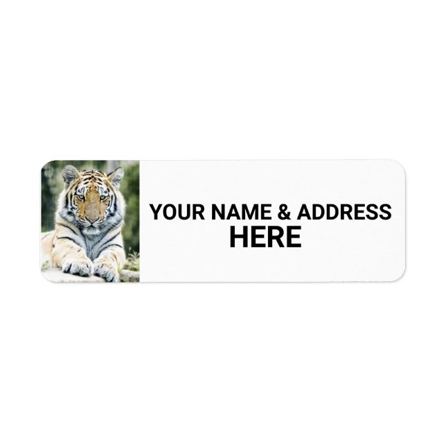 RETURETIKETTER FÖR TIGER-FOTOGRAFI RETURADRESS ETIKETT (Framsidan)