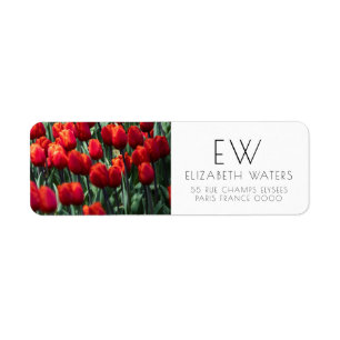 RETURETIKETTER FÖR TULIP-FLÖDESFOTOGRAPH RETURADRESS ETIKETT