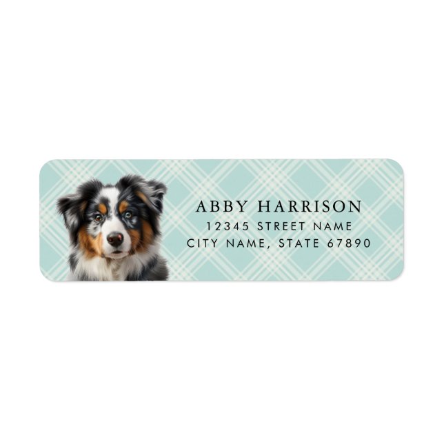 Returetiketterna australian shepherd returadress etikett (Framsidan)