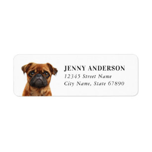 Returetiketterna Brussels Griffon Hund Returadress Etikett