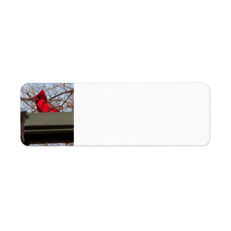 return address labels Cardina; Returadress Etikett