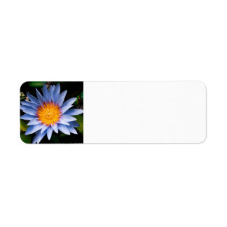 Return address labels returadress etikett