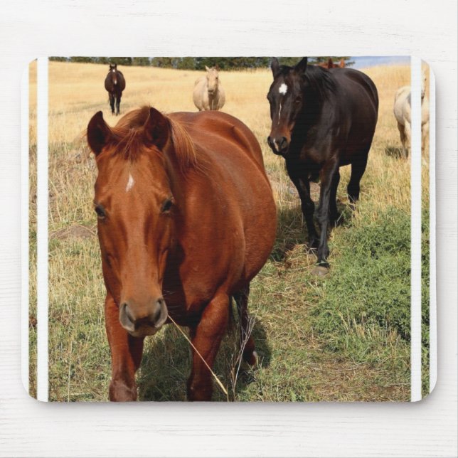 Returnera på spännamusen vadderar musmatta (Framsidan)