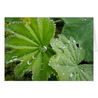 Reva av naturen hälsningskort