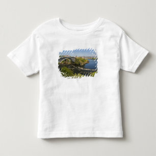 Reverserande vattenfall i floden St. John vid St. Tee Shirt