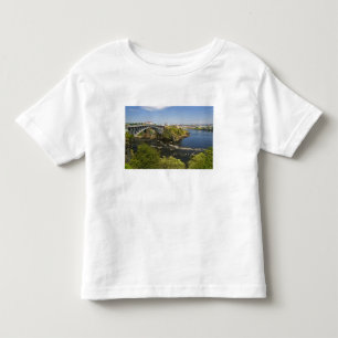 Reverserande vattenfall i floden St. John vid St. Tee Shirt