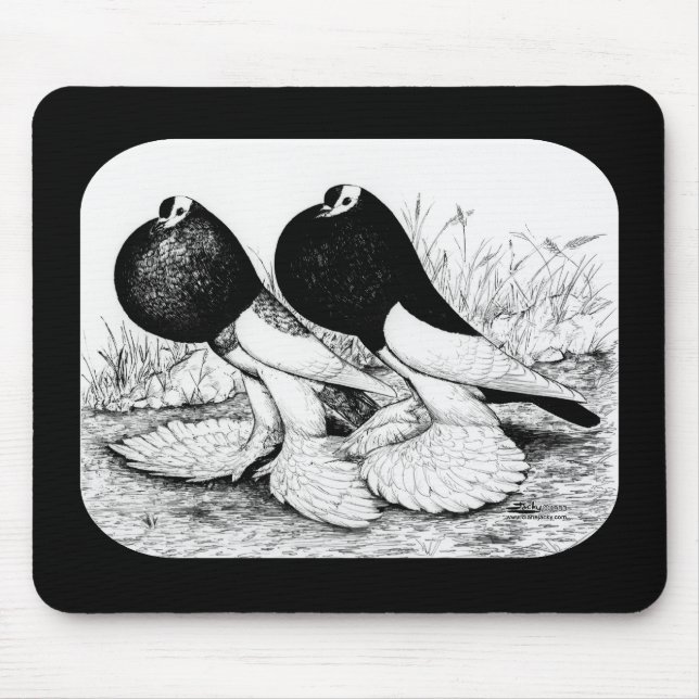 Reversewing Pouter Pigeons Musmatta (Framsidan)