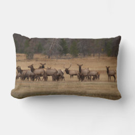 Reversible Elk på en Pillow Lumbarkudde