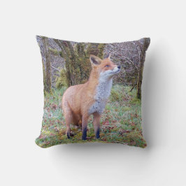 Reversible Red Fox Kudde