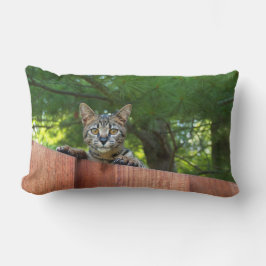 Reversible Serval Savannah Cats på en Pillow Lumbarkudde