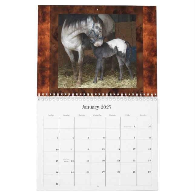 (REVIDERADE) SOLNEDGÅNGBACKEAPPALOOSAS, KALENDER (Jan 2027)