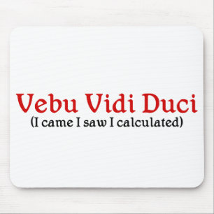 Revisormusen vadderar musmatta