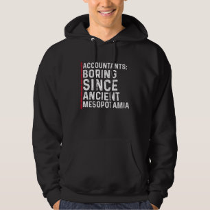Revisorn the Accountant Programvara 14 Hoodie