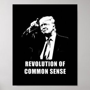 Revolution Of Common Sense – Trump Invigning 20 Poster