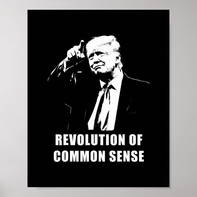 Revolution Of Common Sense – Trump Invigning 20 Poster (Framsidan)
