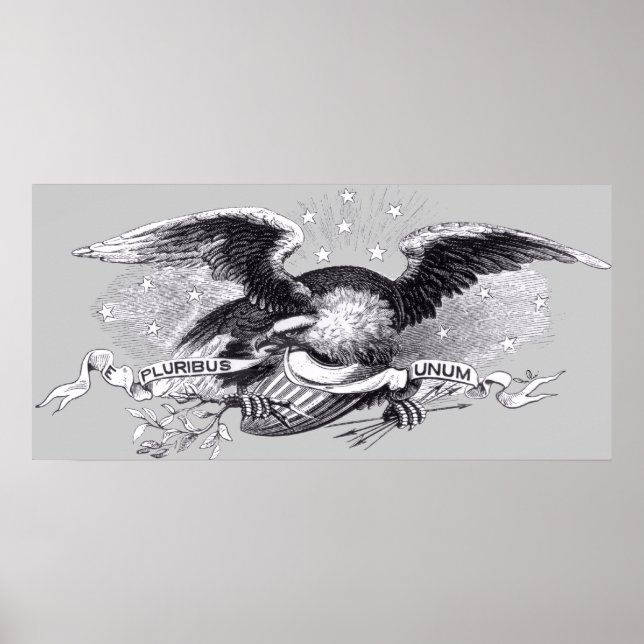 Revolutionär utskrift av Krig Eagle Poster (Framsidan)