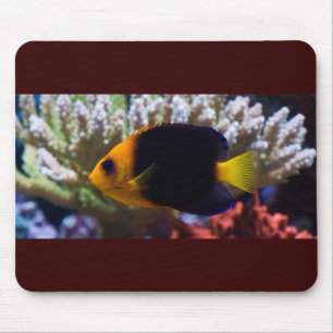 RevSerenity Mousepad Musmatta