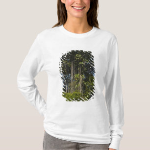 Rewaflodens kant Regnskog Guyana T-shirt