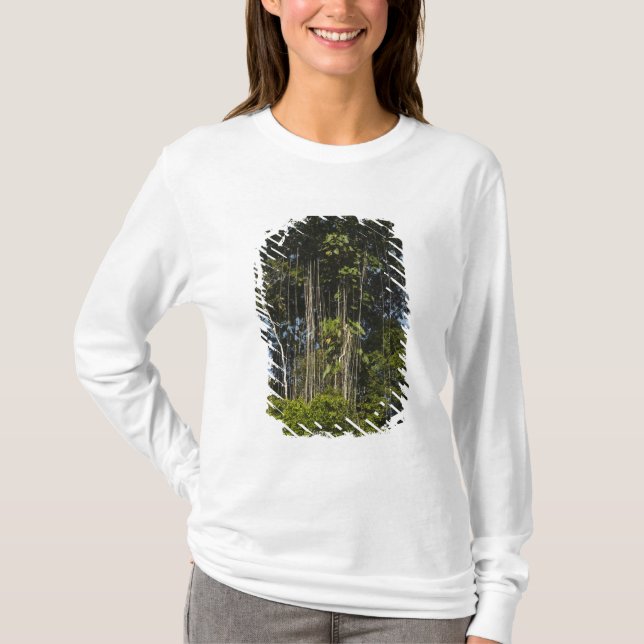 Rewaflodens kant Regnskog Guyana Tröja (Framsida)