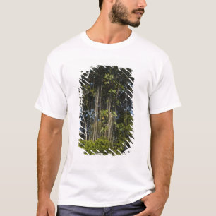 Rewaflodens kant Regnskog Guyana Tröja
