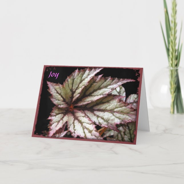 Rex Begonia Greeting Card Kort (Framsida)