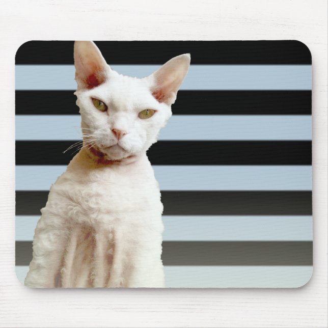 Rex kattblått/svartrand Mousepad Musmatta (Framsidan)