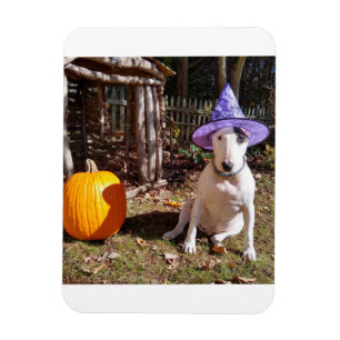 Rex på TV-terminalen Halloween Magnet