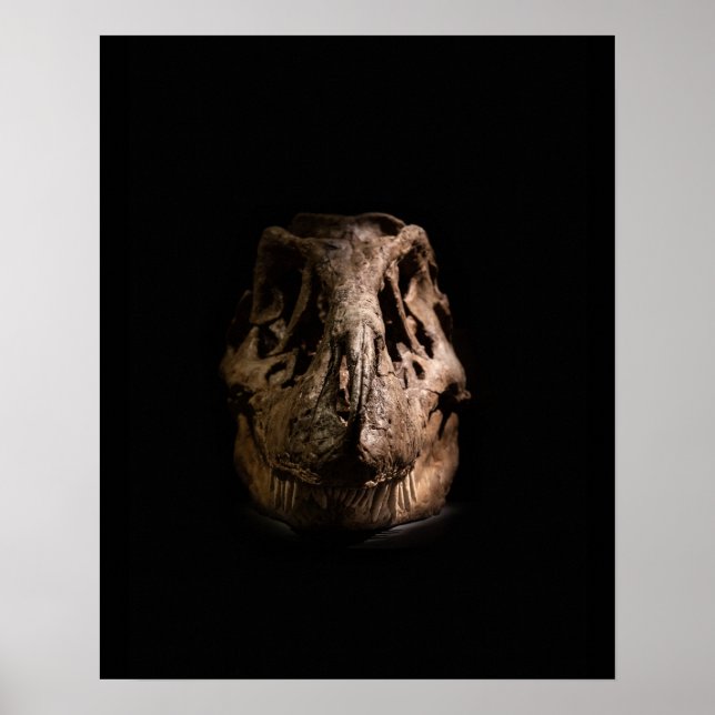 Rex Poster (Framsidan)