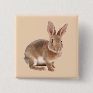 Rex Rabbit Knapp
