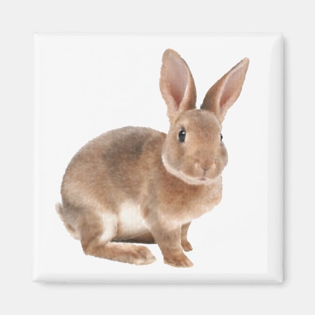 Rex Rabbit Magnet (Framsidan)