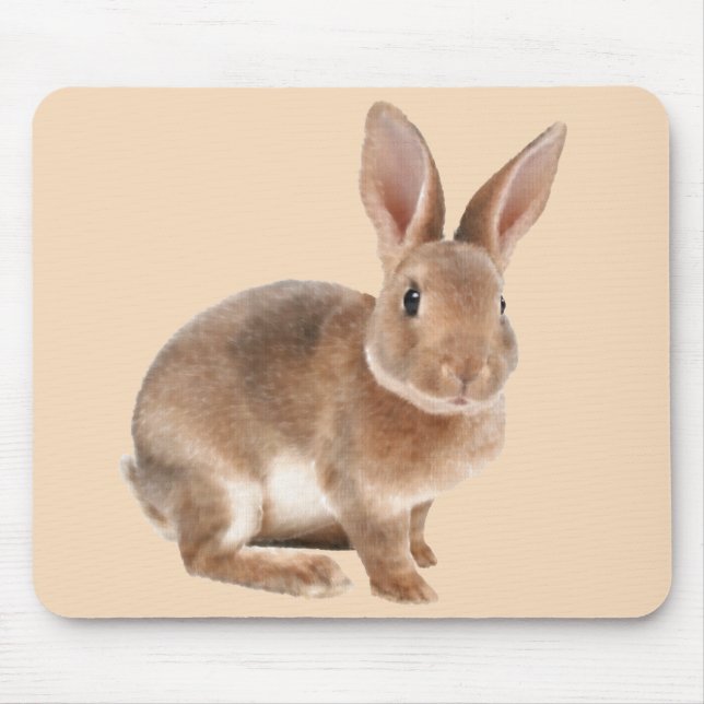 Rex Rabbit Musmatta (Framsidan)